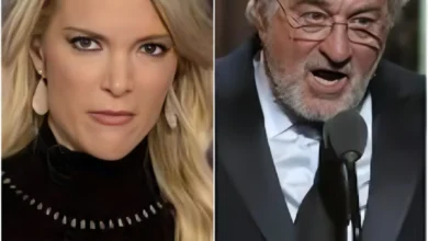 Megyn Kelly bluntly called Robert De Niro ‘Extremely stupid’ on television…