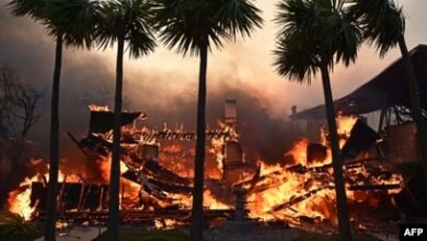 AMAZING: Spanish Princess Leonor has just announced that she will donate $8 million to help with the aftermath of the Los Angeles wildfires. But at the same time, she also has a....