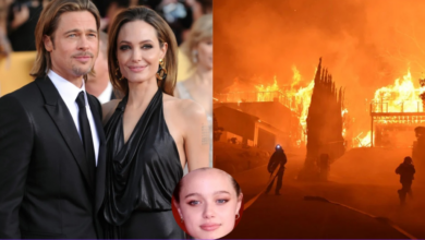 Angelina Jolie and Brad Pitt have decided to reunite after many divorce rumors to support daughter Shiloh Jolie after the fire in Hollywood and they announced that…