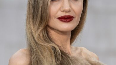 Angelina Jolie has donated $8 million to the victims of the Los Angeles fire. She also decided to help orphans left behind by the fire and…