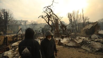 Deserted Sunset Boulevard: The lucky man who escaped the fire recounted: “I saw a woman in the fire calling for help but I couldn’t do anything, she looked at me and…
