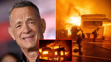 Just 5 minutes after the fire broke out, Hollywood legend Tom Hanks’ house burned down in Los Angeles. Watching his beloved home slowly burn down, he was…
