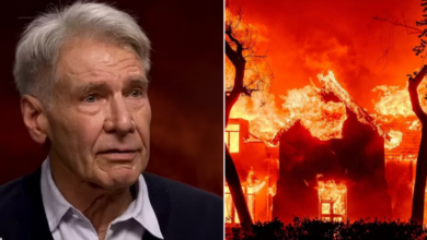 SAD NEWS: Actor Harrison Ford, who plays Red Hulk, is “heartbroken” about losing his $10 million home in the LA fire and also having to witness the tragic event when his third son....