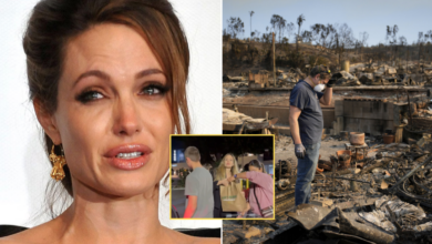 SAD NEWS: Angelina Jolie had just donated $20 million when she had an accident while helping victims of the Los Angeles wildfire. In the black ash, she accidentally slipped into a deep hole and encountered…