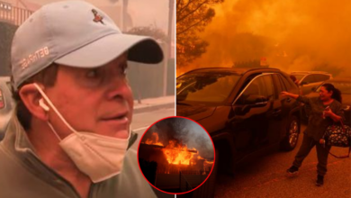 SAD NEWS: Shocked residents recount the life-and-death moments. Steve Guttenberg risked his life to rush into the Pacific Palisades fire to help those trapped. Before his last breath, he said…