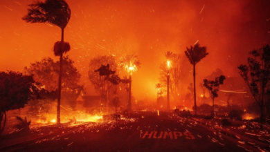 SO WARMTH: Eva Longoria has donated $1 million to relief organizations to support frontliners and families affected by the Hollywood bushfires. She shared: “I’m going to donate clothes, everything I have to support you guys, stay calm, I’m going to try…