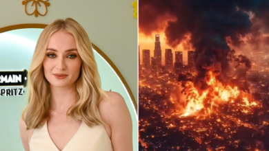 Sophie Turner, mặc dù đã quyên góp 12 triệu đô la cho vụ hỏa hoạn ở Hollywood, vẫn không hài lòng: “Mất mát này quá lớn, tôi muốn quyên góp nhiều hơn nữa, nếu có thể, xin hãy…