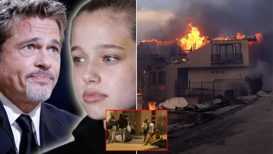 Surprisingly, Brad Pitt and his daughter Shiloh Jolie will move to Los Angeles to support victims overcoming the consequences of the fire with a donation of about 20 million USD, but when moving they will encounter a group of people. Obstacles Shiloh Jolie must encounter…