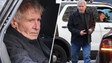 The pain on Harrison Ford’s face was unmistakable after seeing his Brentwood home destroyed and forced to evacuate while his dog was still....
