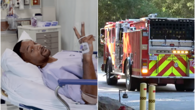 While participating in the rescue of people trapped in a fire, Will Smith was suddenly kicked by a wooden pole on the ceiling, causing him to...